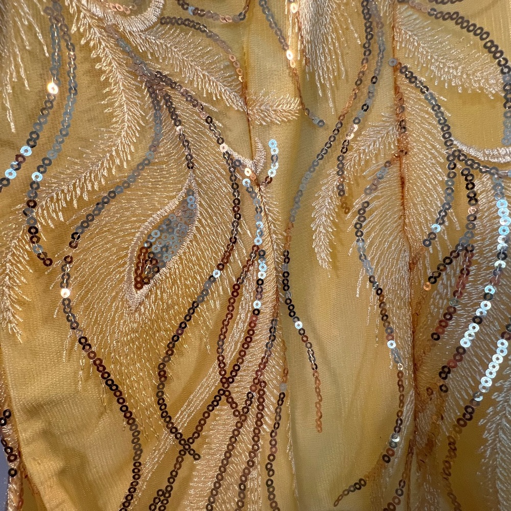 Traditional Ao Dai - Gold and Silver Sequin Embellished Fabric